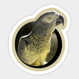 parrot Sticker